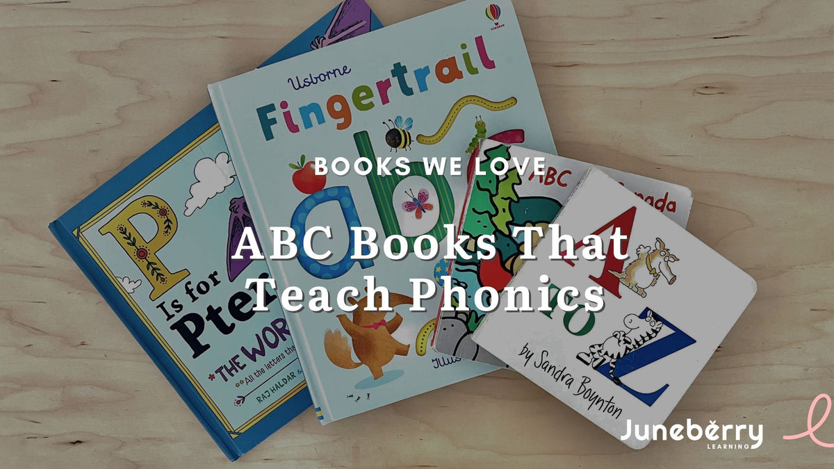 Abc Register Book The Best Alphabet Books to Teach your Toddler Their ABCs – Juneberry ...
