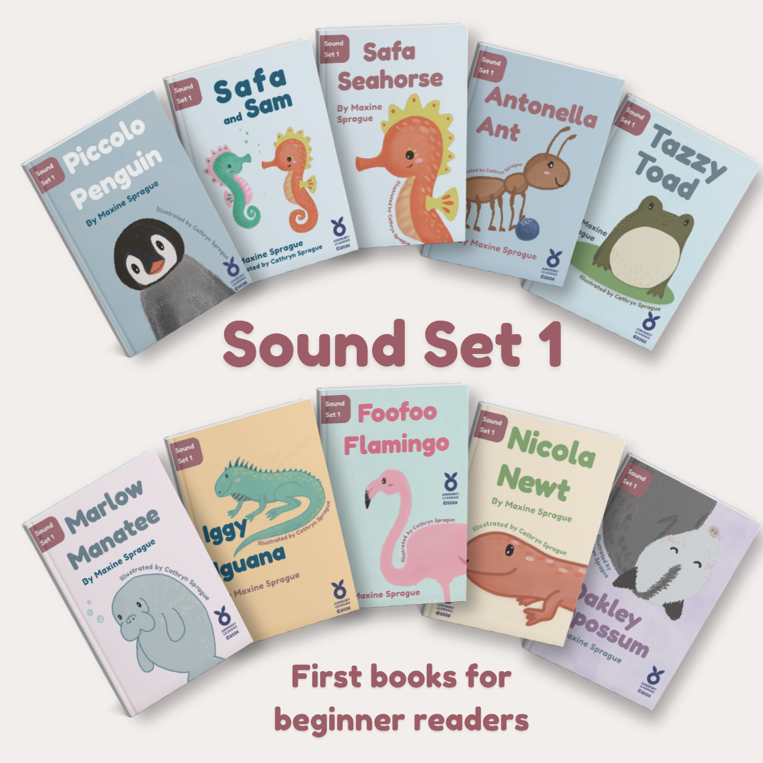 10 mini books with the text sound set 1: first books for beginner readers.