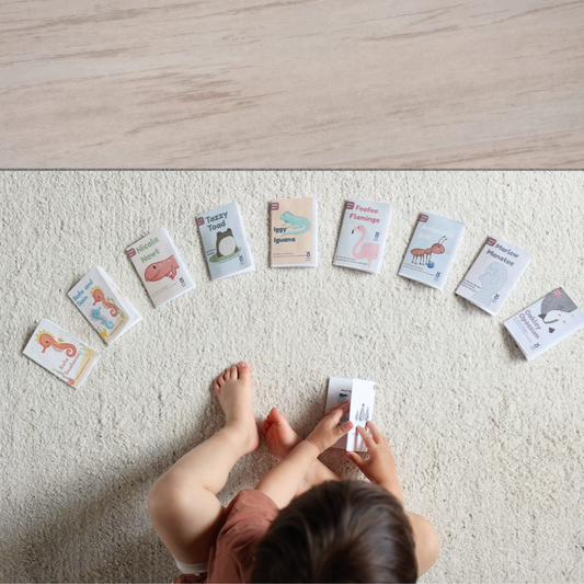 Decodable Early Readers: Set 1
