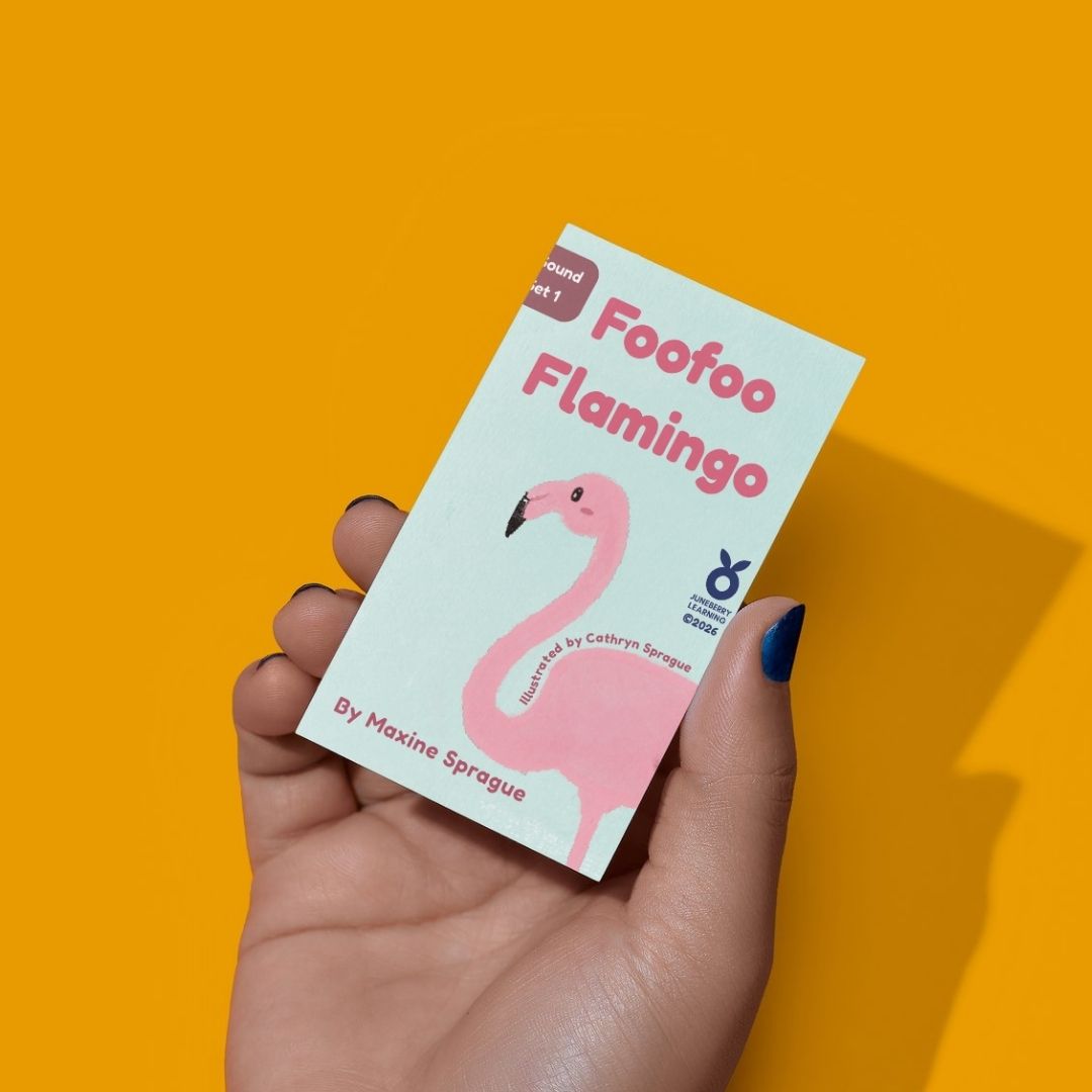 Hand holding a book titled 'Foofoo Flamingo' against an orange background