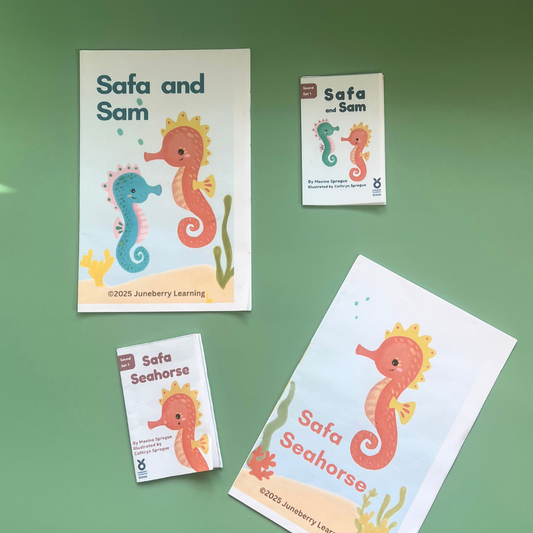 Decodable Early Readers: Set 1