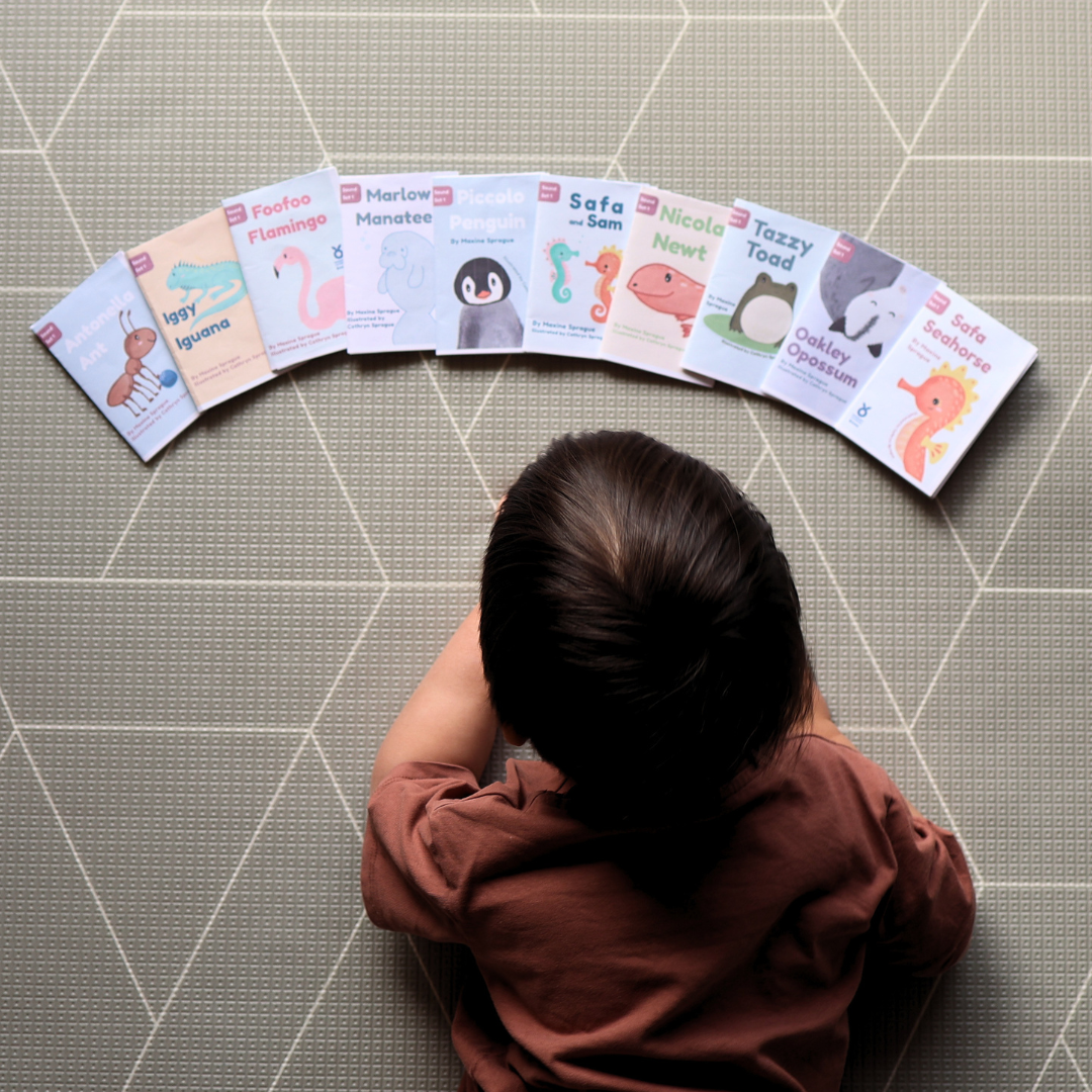 Decodable Early Readers: Set 1